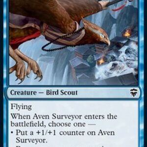 Magic: The Gathering Aven Surveyor