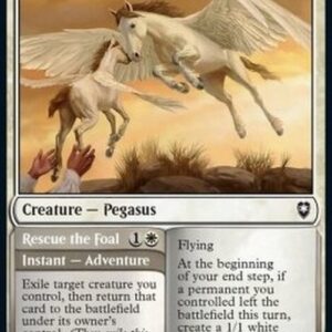 Magic: The Gathering Pegasus Guardian // Rescue the Foal
