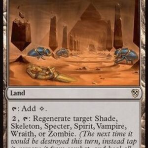 Magic: The Gathering Accursed Duneyard