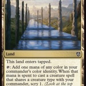 Magic: The Gathering Path of Ancestry (V.2)