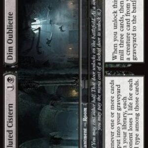 Magic: The Gathering Polluted Cistern // Dim Oubliette