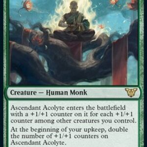 Magic: The Gathering Ascendant Acolyte (V.1)
