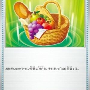 Pokemon Picnic Basket Japanese