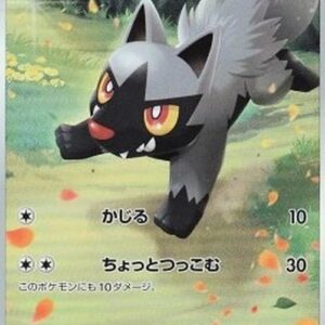 Pokemon Poochyena Japanese