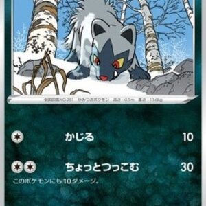 Pokemon Poochyena Japanese