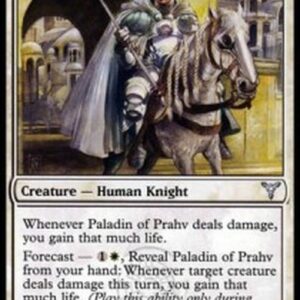 Magic: The Gathering Paladin of Prahv