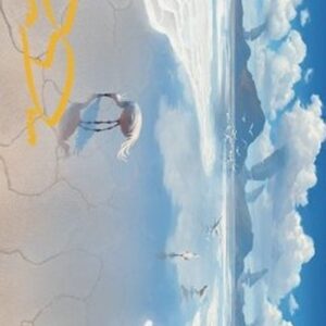 Magic: The Gathering Art Series: Adarkar Wastes (V.2)