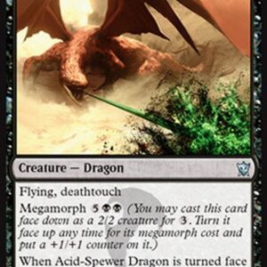 Magic: The Gathering Acid-Spewer Dragon