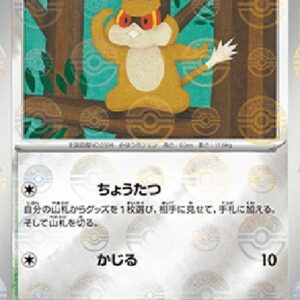 Pokemon Patrat Japanese