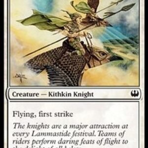 Magic: The Gathering Plover Knights