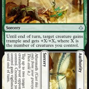 Magic: The Gathering Appeal // Authority