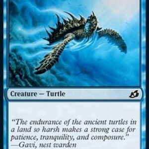 Magic: The Gathering Aegis Turtle