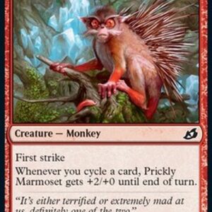 Magic: The Gathering Prickly Marmoset