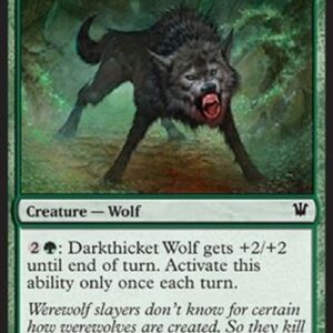 Magic: The Gathering Darkthicket Wolf