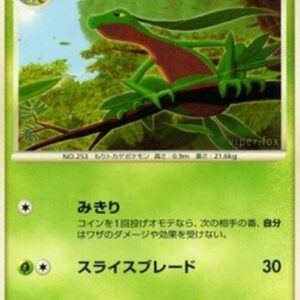 Pokemon Grovyle Lv.28 Japanese