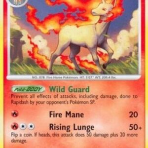 Pokemon Rapidash Lv.41