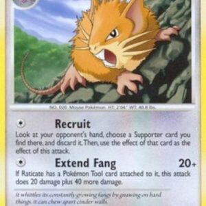 Pokemon Raticate Lv.31