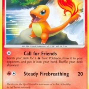 Pokemon Charmander Lv.13