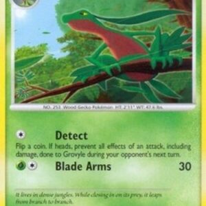Pokemon Grovyle Lv.28