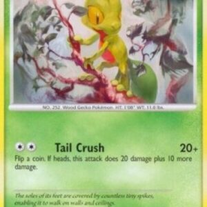 Pokemon Treecko Lv.14