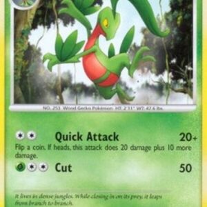 Pokemon Grovyle Lv.24