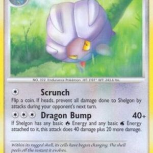 Pokemon Shelgon Lv.34