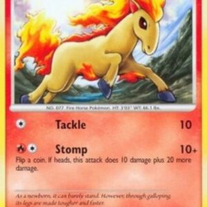 Pokemon Ponyta Lv.13