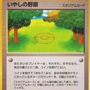 Pokemon Healing Field Japanese