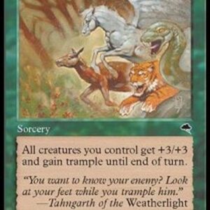 Magic: The Gathering Overrun