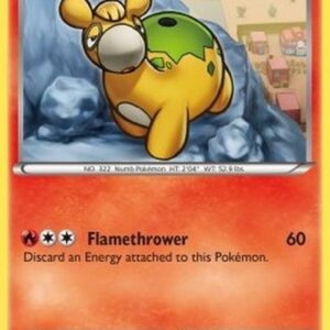 Pokemon Numel