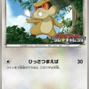 Pokemon Patrat Japanese