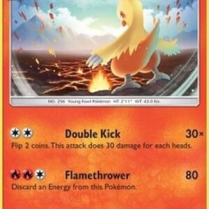 Pokemon Combusken