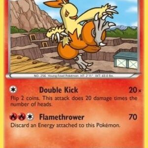 Pokemon Combusken