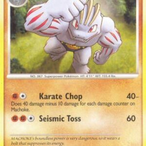 Pokemon Machoke Lv.39