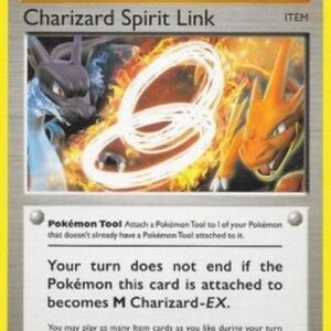 Pokemon Charizard Spirit Link