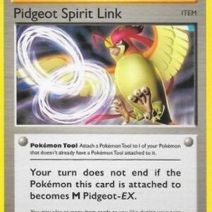 Pokemon Pidgeot Spirit Link
