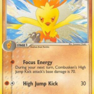 Pokemon Combusken