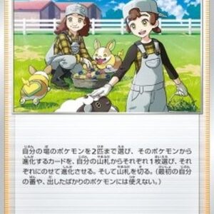 Pokemon Breeder's Nurturing Japanese