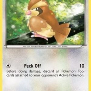 Pokemon Pidgey