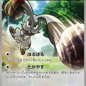 Pokemon Bunnelby Japanese