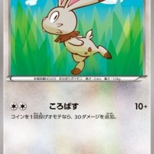 Pokemon Bunnelby Japanese