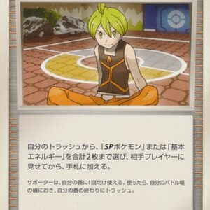 Pokemon Aaron's Collection Japanese