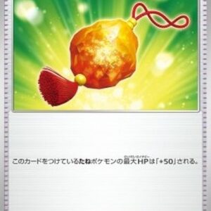 Pokemon Bravery Charm Japanese