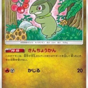 Pokemon Axew Japanese