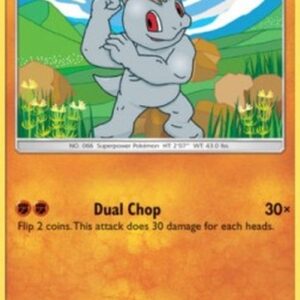 Pokemon Machop