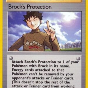 Pokemon Brock's Protection