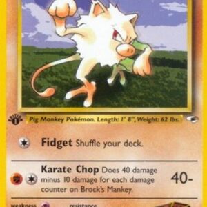 Pokemon Brock's Mankey