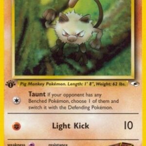 Pokemon Brock's Mankey