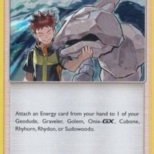 Pokemon Brock's Training