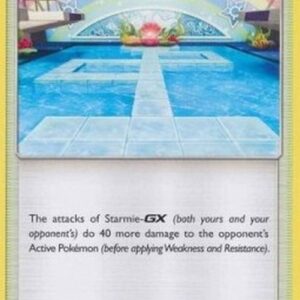 Pokemon Misty's Cerulean City Gym